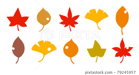 秋天的樹葉矢量集 79245957