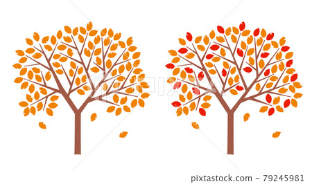 秋天的樹 79245981
