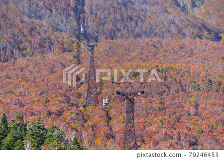 Autumn Hakkoda Ropeway 79246453