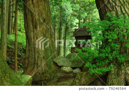 Yamakami Shrine in Wano, a fresh green area in Tono City, Iwate Prefecture 79246564
