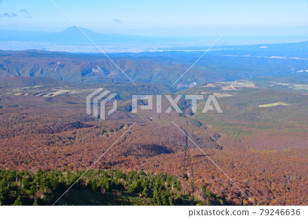 秋天的八甲田山 秋天的八甲田山 79246636