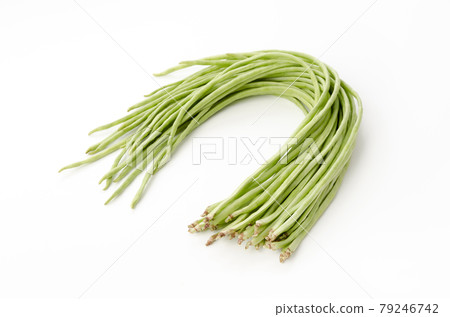 Juroku豇豆 79246742