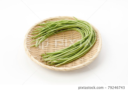 Juroku豇豆 79246743