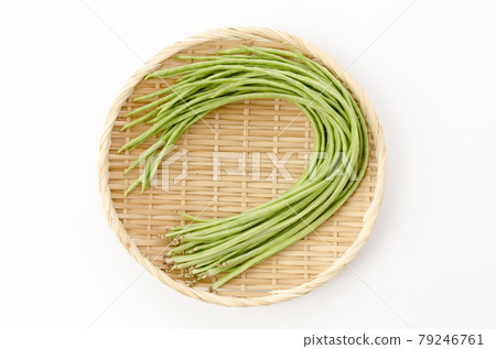 Juroku豇豆 79246761