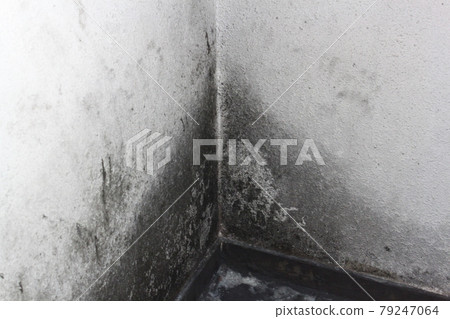 牆上的模具 牆上的模具 79247064