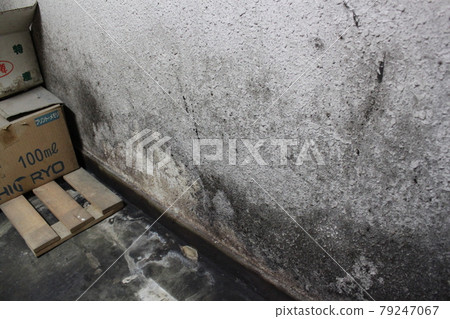 Mold on the wall Mold on the wall 79247067