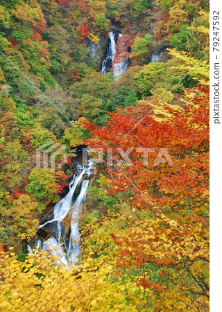 奧日光霧降瀑布秋景 79247592