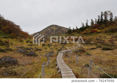 通往日內山的木棧道 通往日內山的木棧道 79247698