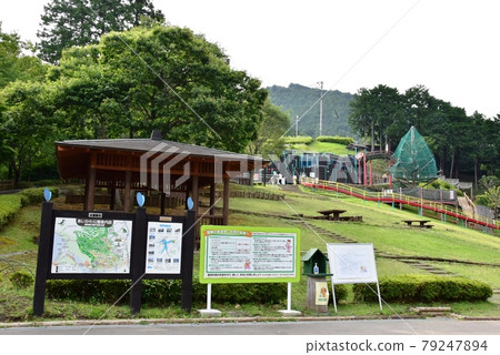 神奈川縣相川公園冒險森林玩具套裝和清新的綠色 神奈川縣相川公園冒險森林玩具套裝和清新的綠色 79247894