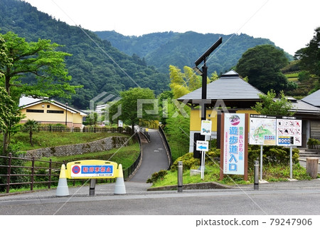 Kanagawa Prefectural Aikawa Park Promenade entrance, fresh greenery and mountains 79247906