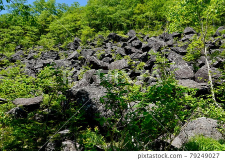 Shikaoi Town 千張榻榻米 Shikaoi Town 千張榻榻米 79249027