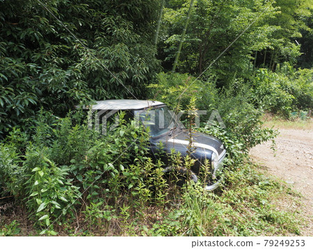 A scrapped Mini Cooper buried in plants A scrapped Mini Cooper buried in plants 79249253