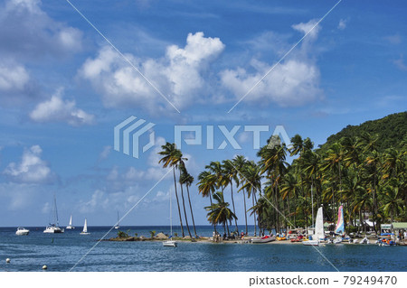 Marigot Bay in St Lucia in the Caribbean Sea, Lesser Antilles, West Indies 79249470