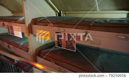 Tatsuna's whale 79250056