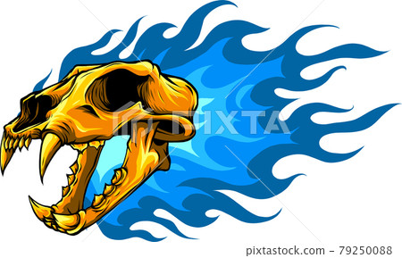 Vector illustration of gold tiger skull with flames 79250088