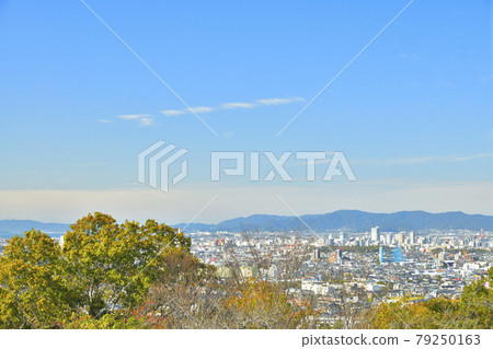 從岩屋綠地看到的豐橋街景 79250163