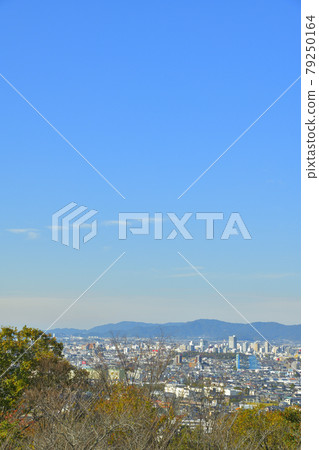從岩屋綠地看到的豐橋街景 79250164