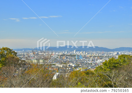 從岩屋綠地看到的豐橋街景 79250165