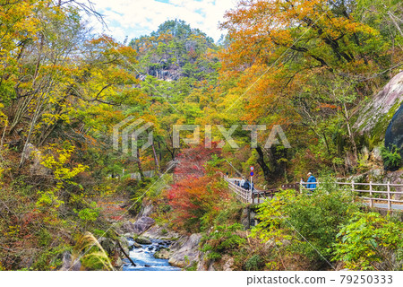 山梨縣秋葉禦岳松千峽一路 山梨縣秋葉禦岳松千峽一路 79250333