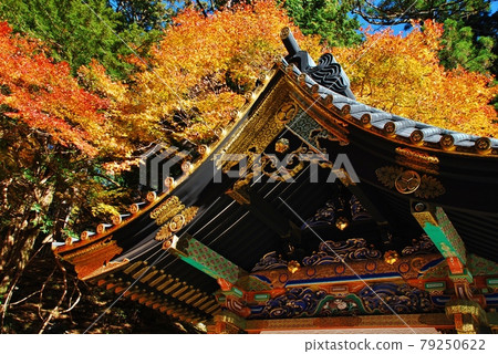 World Heritage Nikko Toshogu World Heritage Nikko Toshogu 79250622