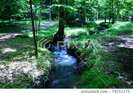 小川市水林自然林四季之村（福島縣福島市） 79251175