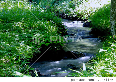 水林自然林四季村(福島縣福島市) 小川水林自然林四季村(福島縣福島市) 水林自然林四季村(福島縣福島市) 小川水林自然林四季村(福島縣福島市) 79251176