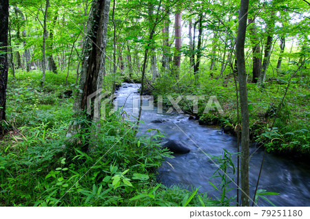 Village of Four Seasons, Mizubayashi Nature Forest, Ogawa (Fukushima Prefecture, Fukushima City) Village of Four Seasons, Mizubayashi Nature Forest, Ogawa (Fukushima Prefecture, Fukushima City) 79251180