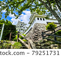 Gujo Hachiman Castle in Gujo City, Gifu Prefecture 79251731