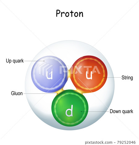 Structure of a gluon. elementary particle 79252046
