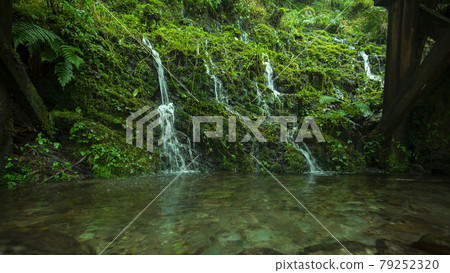 台灣，見晴古道，山泉水，台湾、清旧道、山の湧き水、Taiwan, see Qing Old Road 79252320