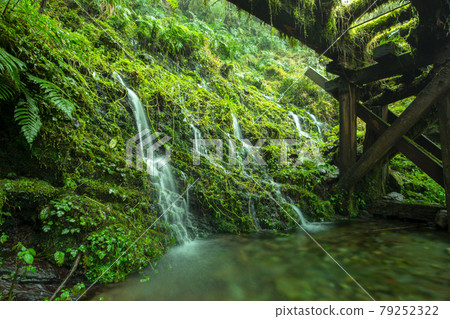 台灣，見晴古道，山泉水，台湾、清旧道、山の湧き水、Taiwan, see Qing Old Road 79252322