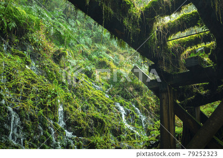 台灣，見晴古道，山泉水，台湾、清旧道、山の湧き水、Taiwan, see Qing Old Road 79252323