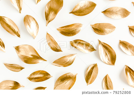 Pattern, texture with gold leaves isolated on white background. flat lay, top view 79252808