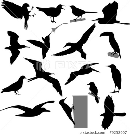 Birds silhouettes collection - vector Birds silhouettes collection - vector 79252907