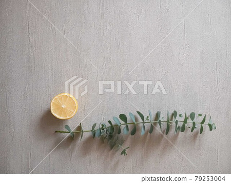 Lemon and orange citrus and eucalyptus leaves. Relaxing aroma scent. Lemon and orange citrus and eucalyptus leaves. Relaxing aroma scent. 79253004
