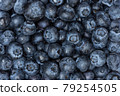 Blueberries Close Up Full Screen Detail 79254505