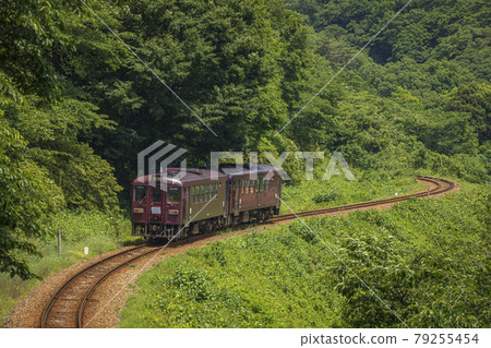 A single-track train going through an S-shaped curve in the forest A single-track train going through an S-shaped curve in the forest 79255454