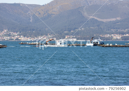 Mussel boat sailing between mussel wood platform called batea. Marine landscape. Rias Baixas, Galicia, Spain Mussel boat sailing between mussel wood platform called batea. Marine landscape. Rias Baixas, Galicia, Spain 79256902