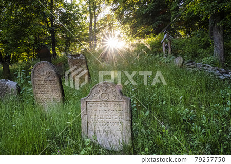 Jewish cemetery with sunrays, Topola village, Slovakia Jewish cemetery with sunrays, Topola village, Slovakia 79257750