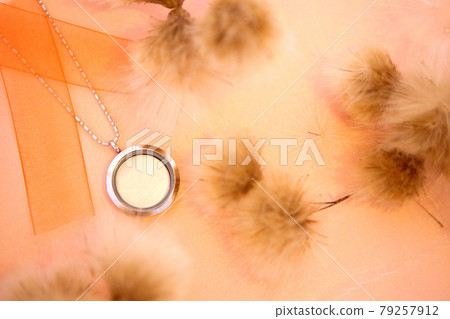 Silver necklace shining on orange background with white flowers. Luxury silver jewelry chains with glass and crystals. Small Beautiful precious metal present for woman. Luxury expressions Silver necklace shining on orange background with white flowers. Luxury silver jewelry chains with glass and crystals. Small Beautiful precious metal present for woman. Luxury expressions 79257912