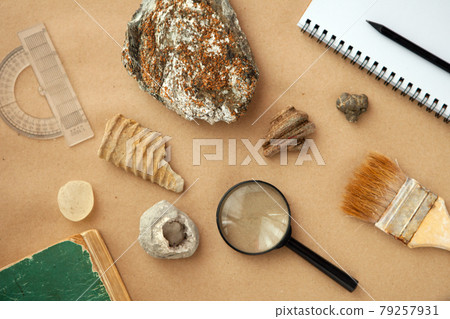 Stone samples at geological laboratory. Geology rock laboratory. Laboratory for analysis of geological soil materials, stones, minerals, rocks samples for researchers and students. Brushing samples. 79257931