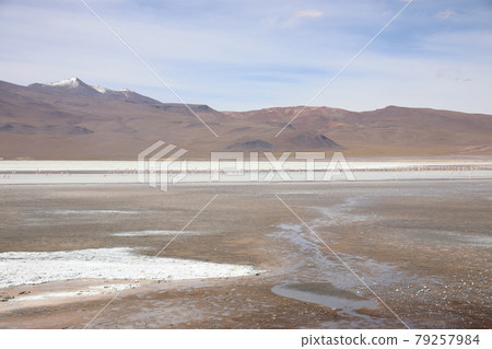 Laguna Colorada (Bolivia) 79257984
