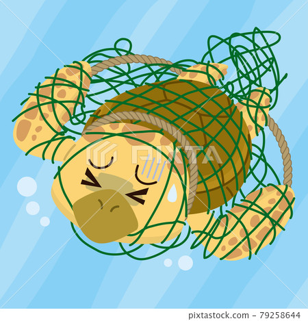 Sea turtles entwined in fishing nets 79258644