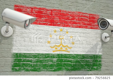 CCTV cameras and wall with flag of Tajikistan. Surveillance related 3D rendering 79258825