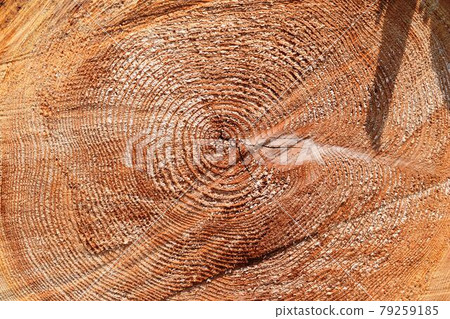 Cedar log cut out Cedar log cut out 79259185