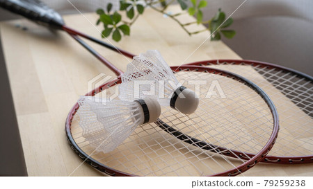 羽毛球拍和毽子。	 79259238