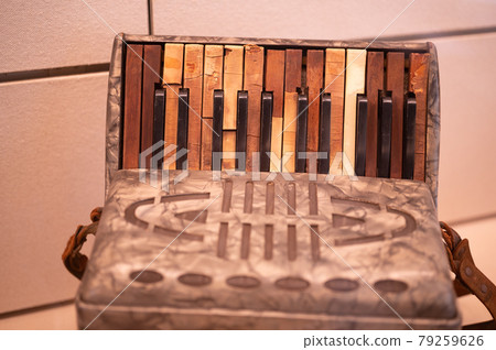 Decayed accordion 79259626