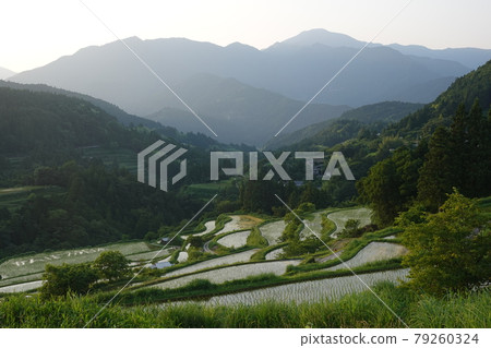 Yoshinobu rice terraces in the morning Yoshinobu rice terraces in the morning 79260324