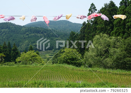 Rice terraces and carp streamers Rice terraces and carp streamers 79260325