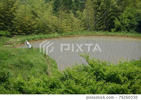 稻田稻草人 稻田稻草人 79260330